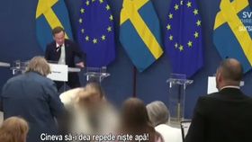 VIDEO Ministrul Sănătății din Suedia, Aelisabet Lann, leșină în timpul primei conferințe de presă